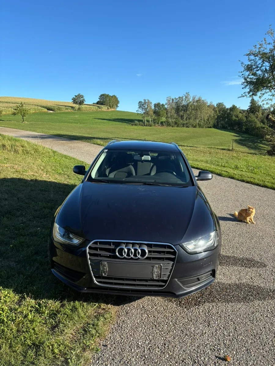 Audi A4 2013 photo 2