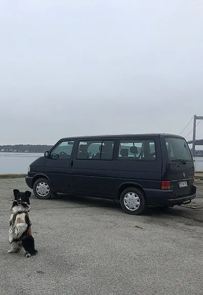 Volkswagen Caravelle 1998 photo 2