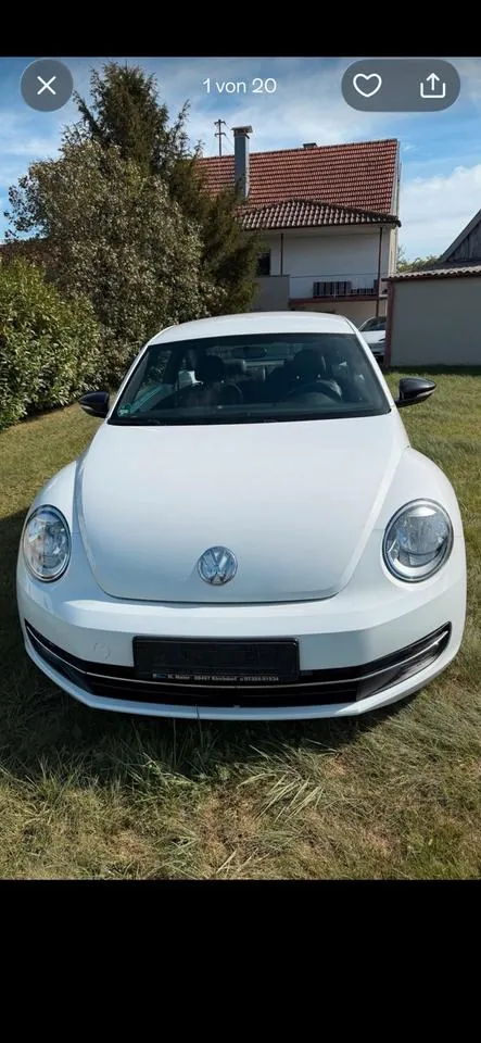 Volkswagen Beetle