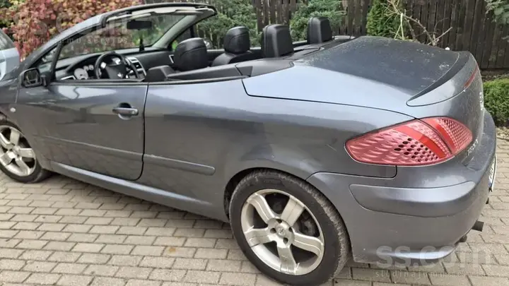 Peugeot 307 2004 photo 5