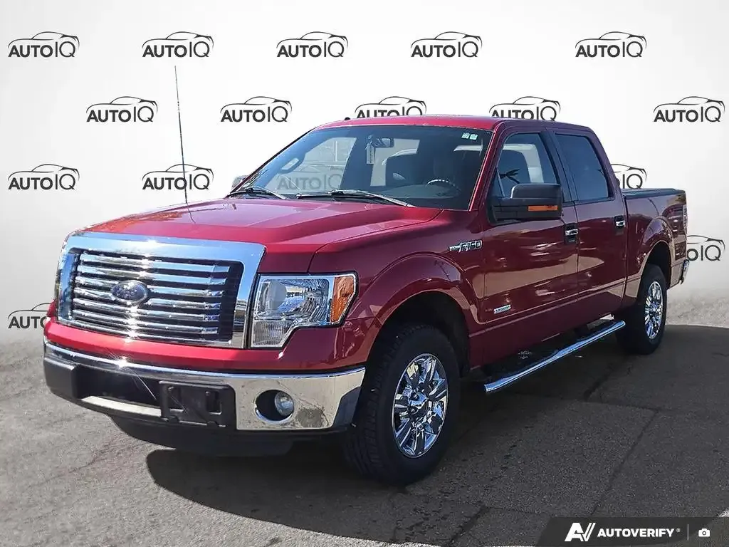 Ford F-150 2011 photo 3