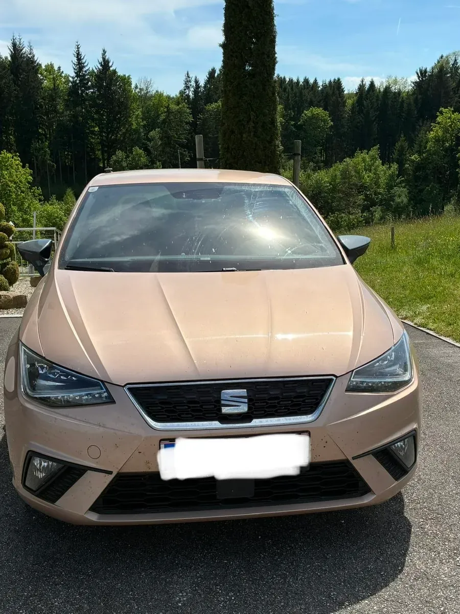 Seat Ibiza 2017 photo 2
