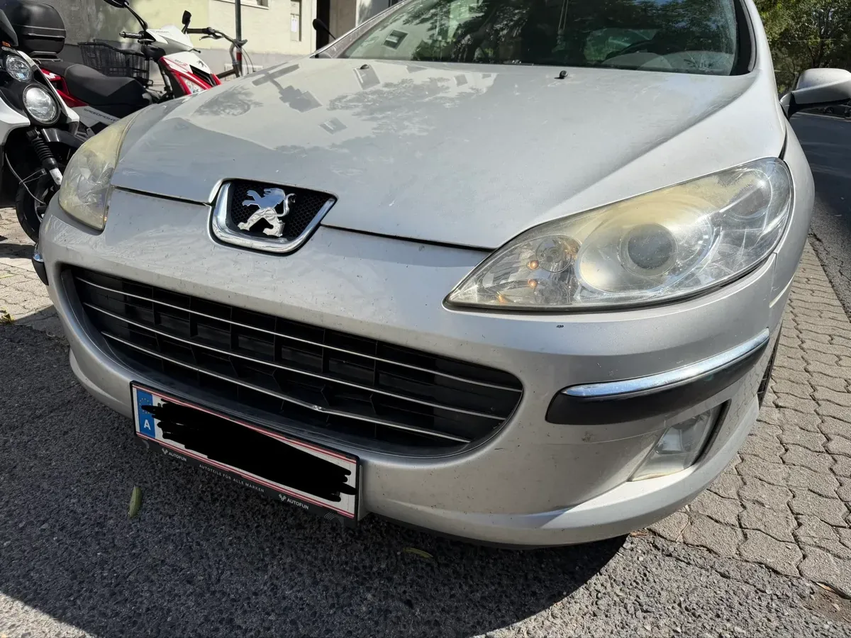 Peugeot 407 2007 photo 2