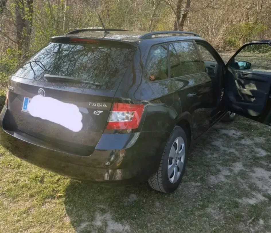 Skoda Fabia 2017 photo 2