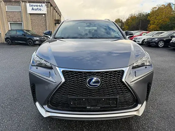 Lexus Nx300H 2016 photo 3