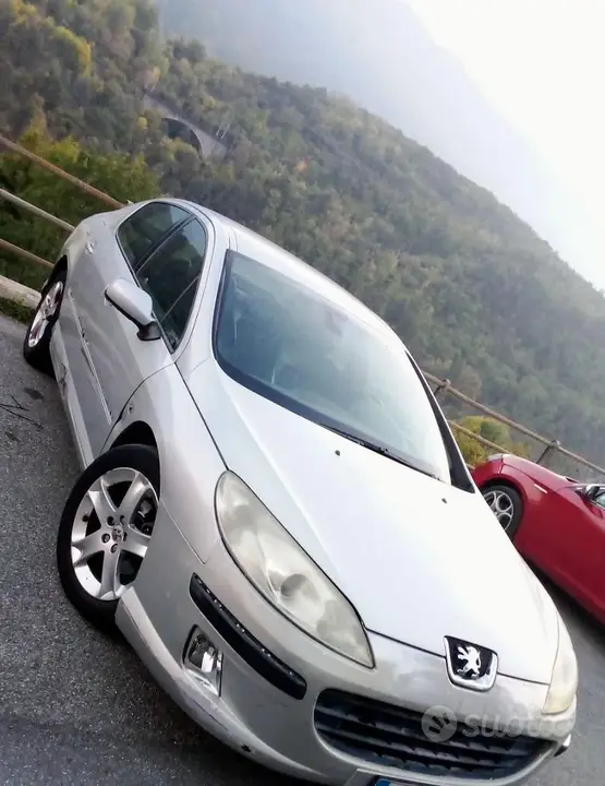 Peugeot 407