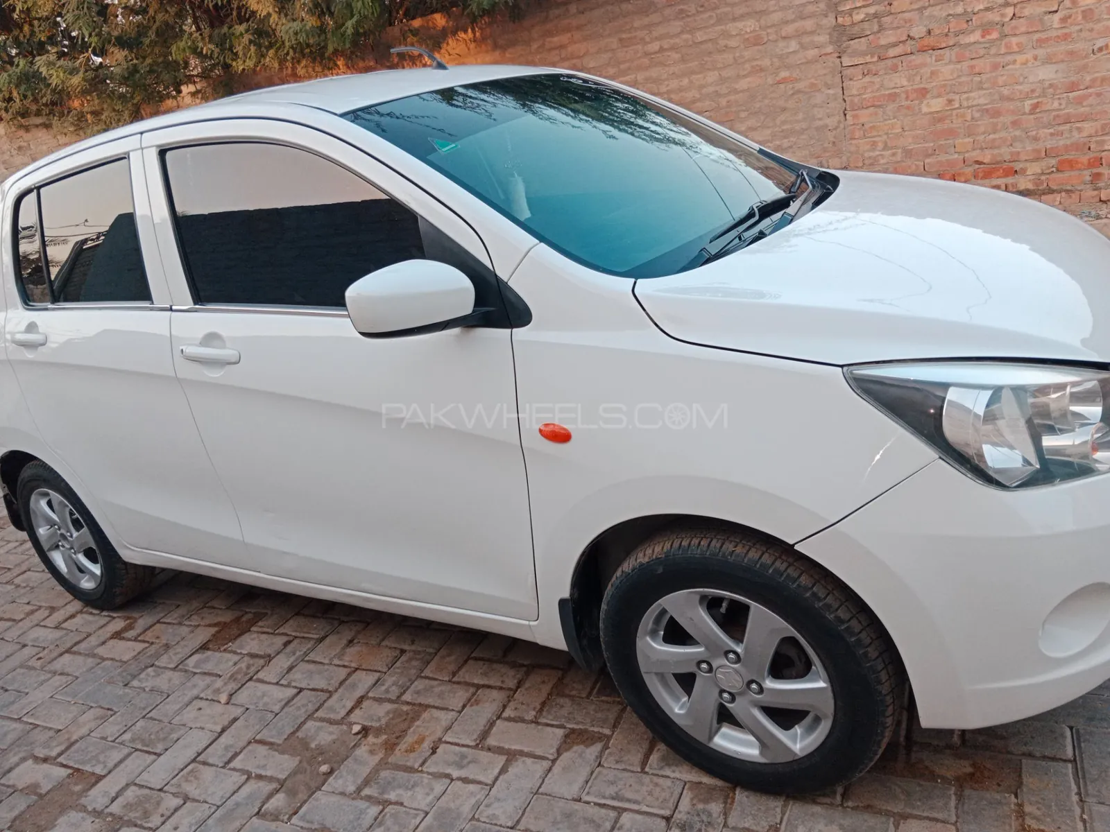 Suzuki Cultus