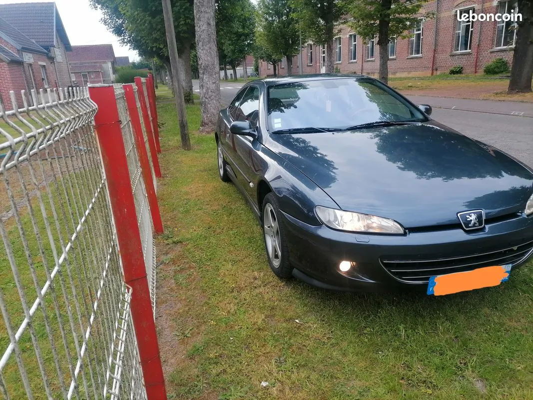Peugeot 406 2003 photo 2