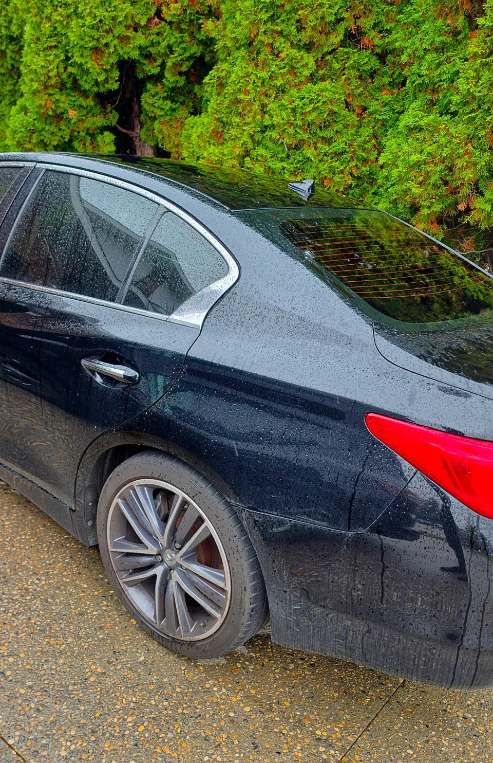 Infiniti Q50 2015 photo 4
