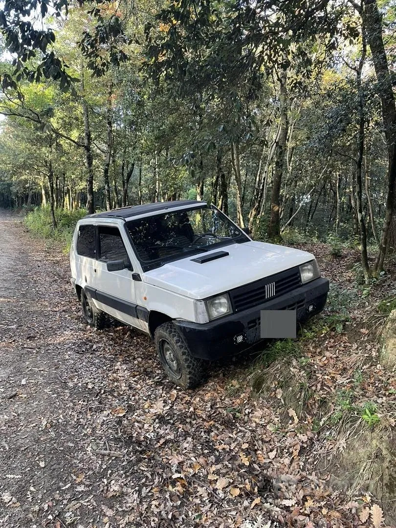 Fiat Panda 1986 photo 2