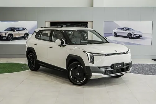 Dongfeng Vigo