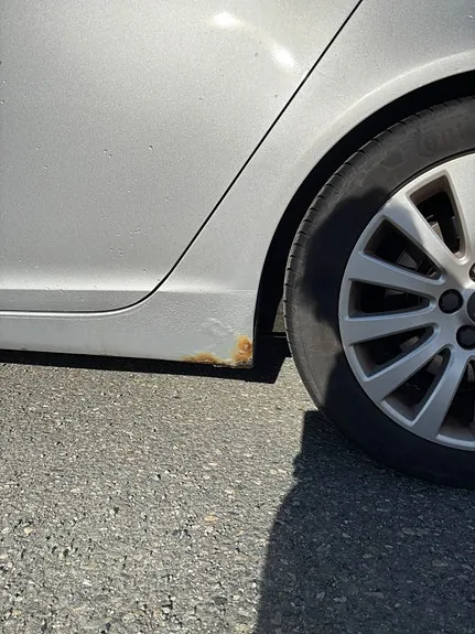 Opel Insignia 2010 photo 4