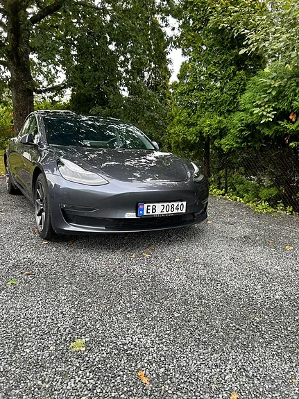 Tesla Model 3 2020 photo 3