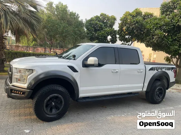 Ford F-150 2017 photo 3