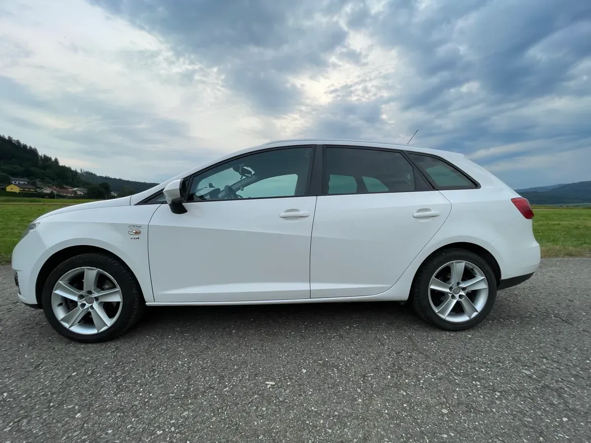Seat Ibiza 2010 photo 3