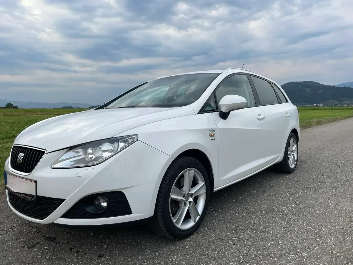 Seat Ibiza 2010 photo 2