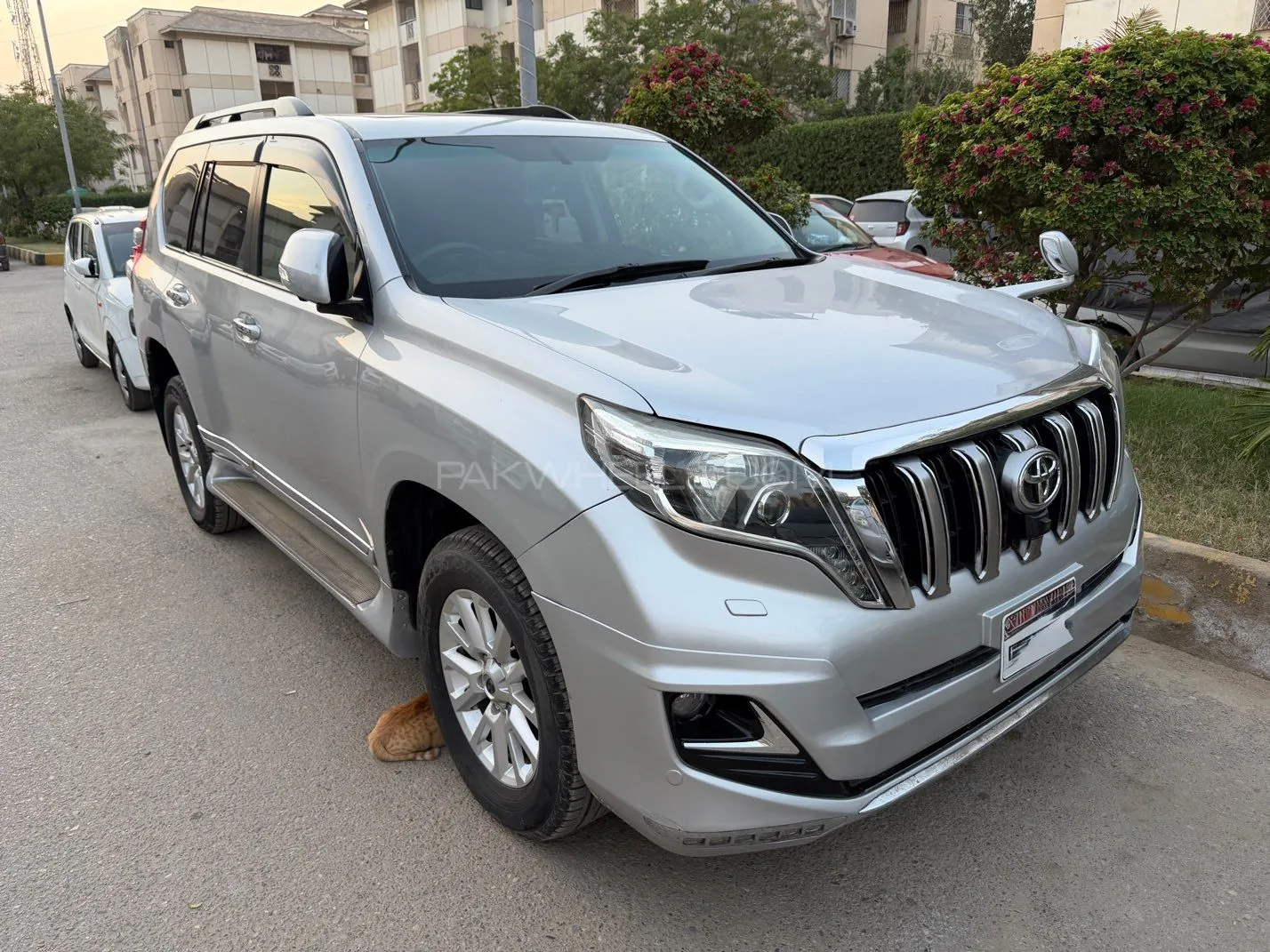 Toyota Prado