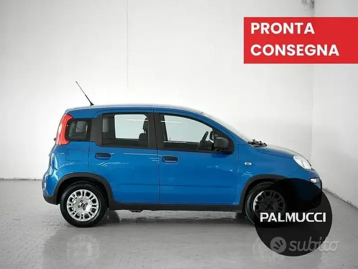 Fiat Panda 2024 photo 5
