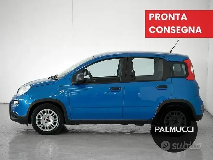 Fiat Panda 2024 photo 4