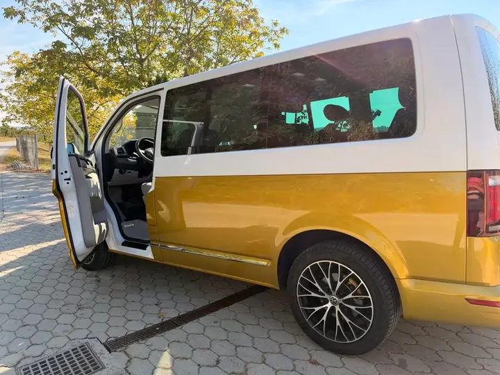 Volkswagen T6 2019 photo 3