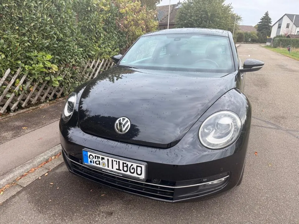 Volkswagen Beetle