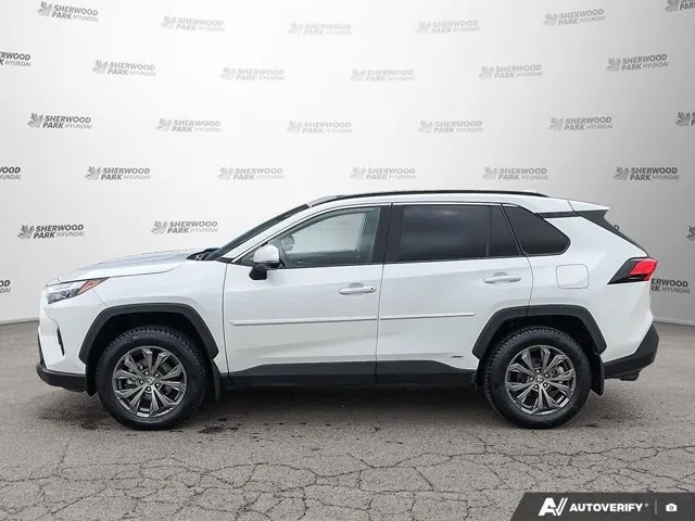 Toyota Rav4 2024 photo 3