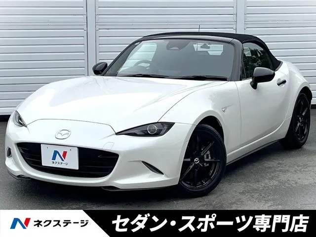 Mitsubishi Lourdstar
