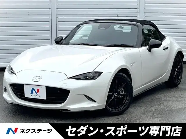 Mitsubishi Lourdstar