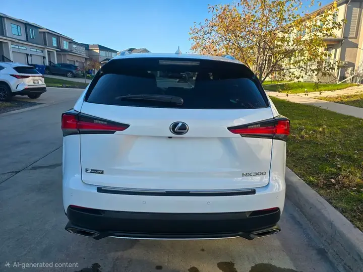 Lexus Nx 300 2019 photo 5