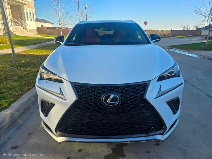 Lexus Nx 300 2019 photo 4