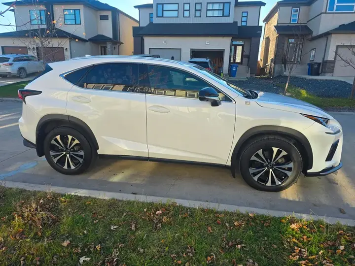 Lexus Nx 300 2019 photo 2