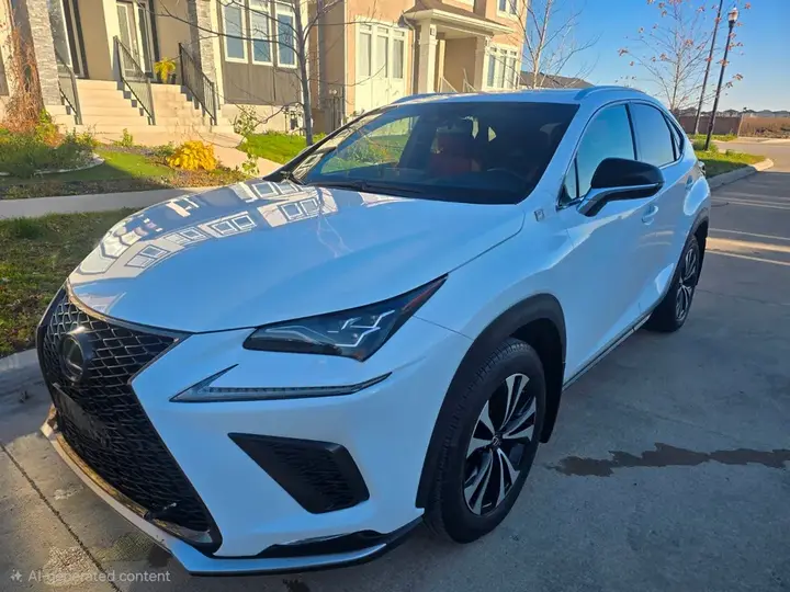 Lexus Nx 300 2019 photo 3