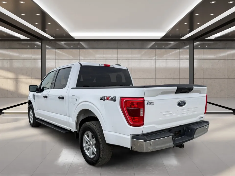 Ford F-150 2021 photo 4