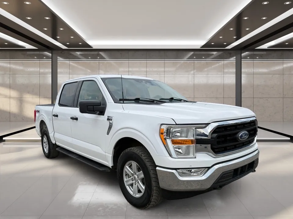 Ford F-150 2021 photo 2