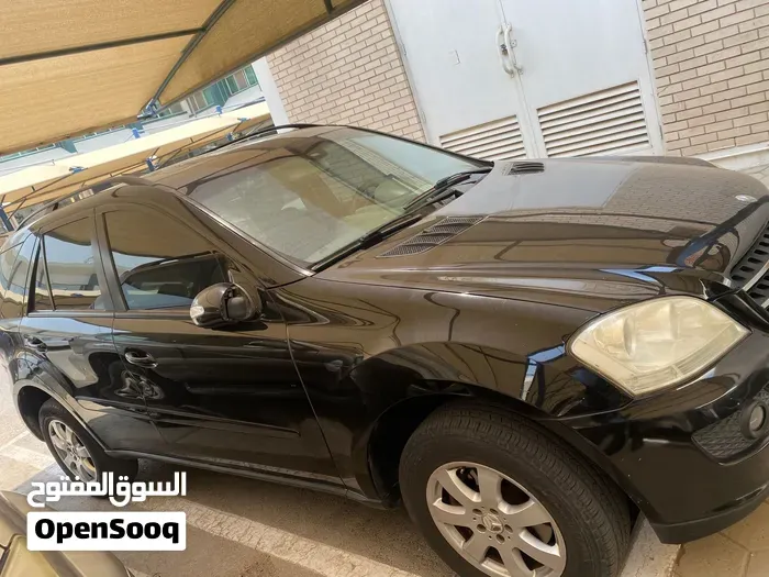 Mercedes-Benz M-Class 2008 photo 5