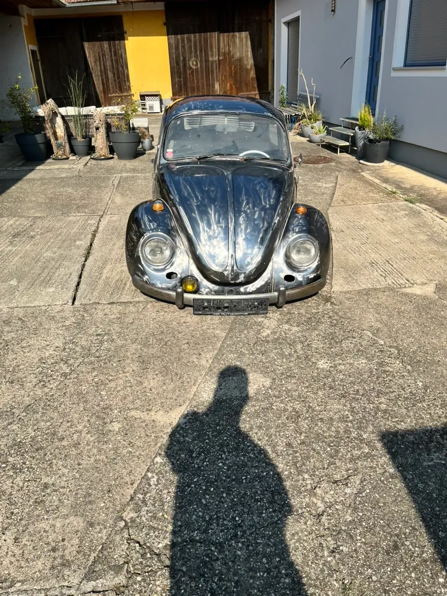 Volkswagen Käfer 1969 photo 3