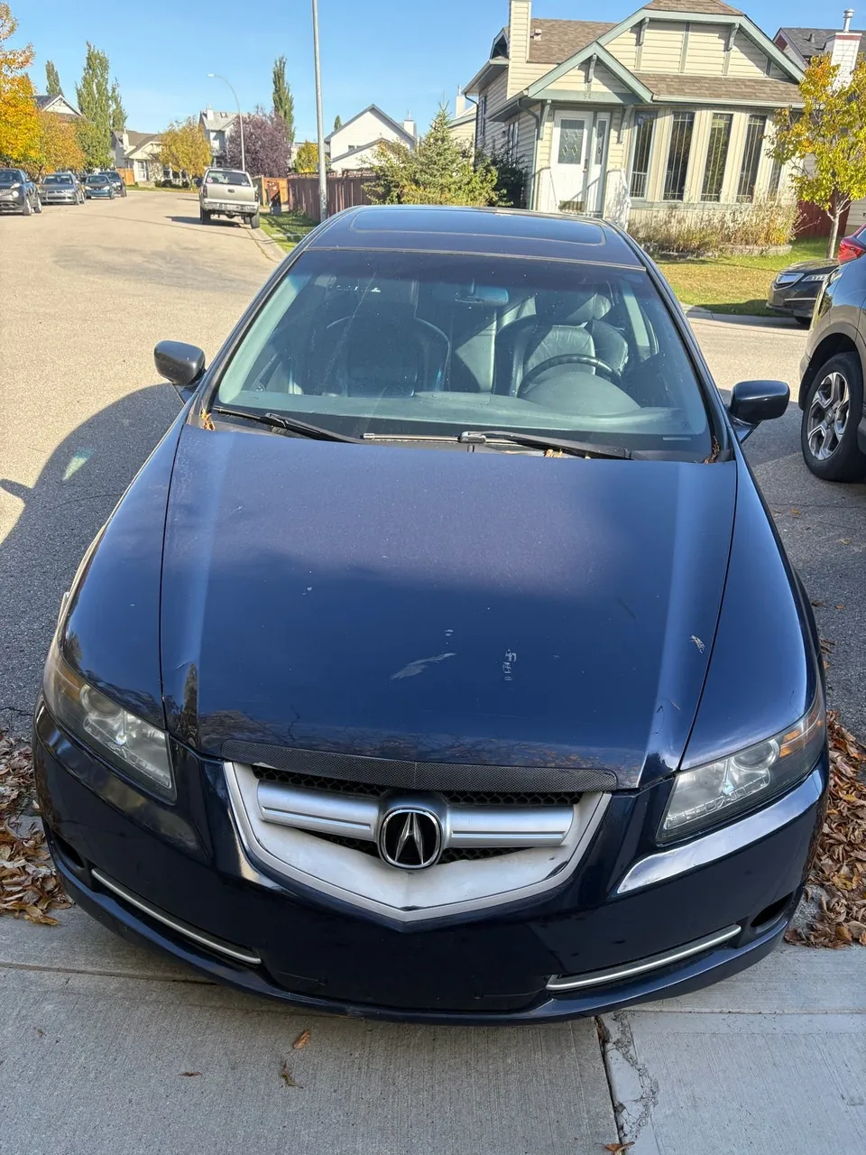 Acura Tl 2004 photo 4