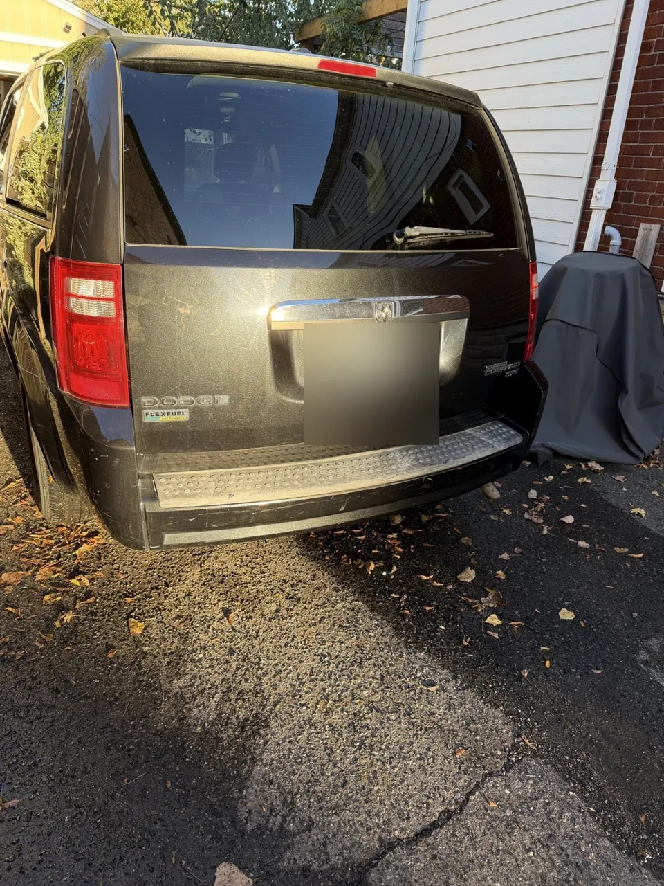 Dodge Grand Caravan 2010 photo 3