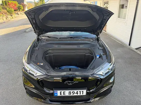 Ford Mustang Mach-E 2022 photo 3