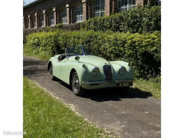 Jaguar Xk