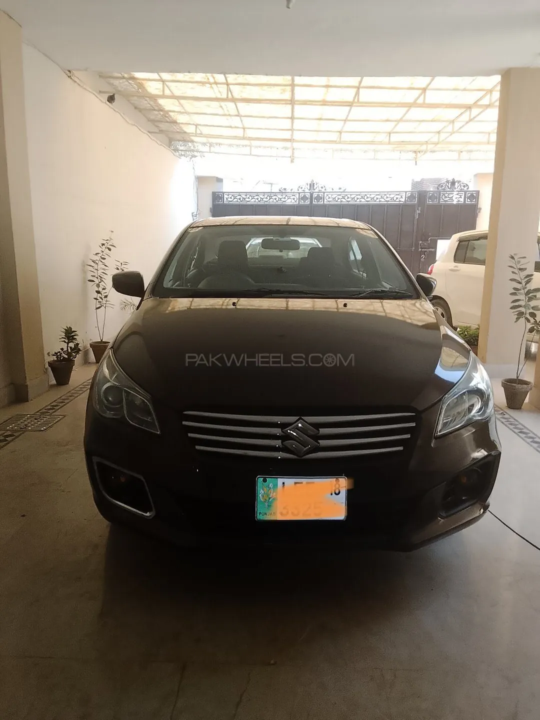 Suzuki Ciaz
