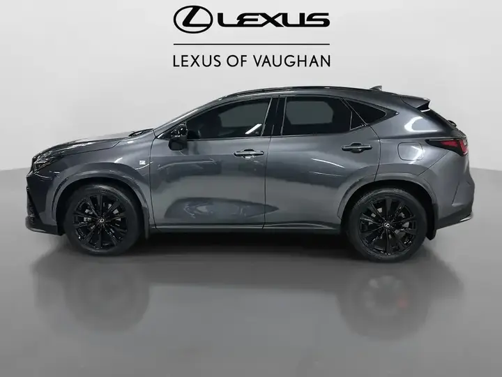 Lexus Nx 2024 photo 2