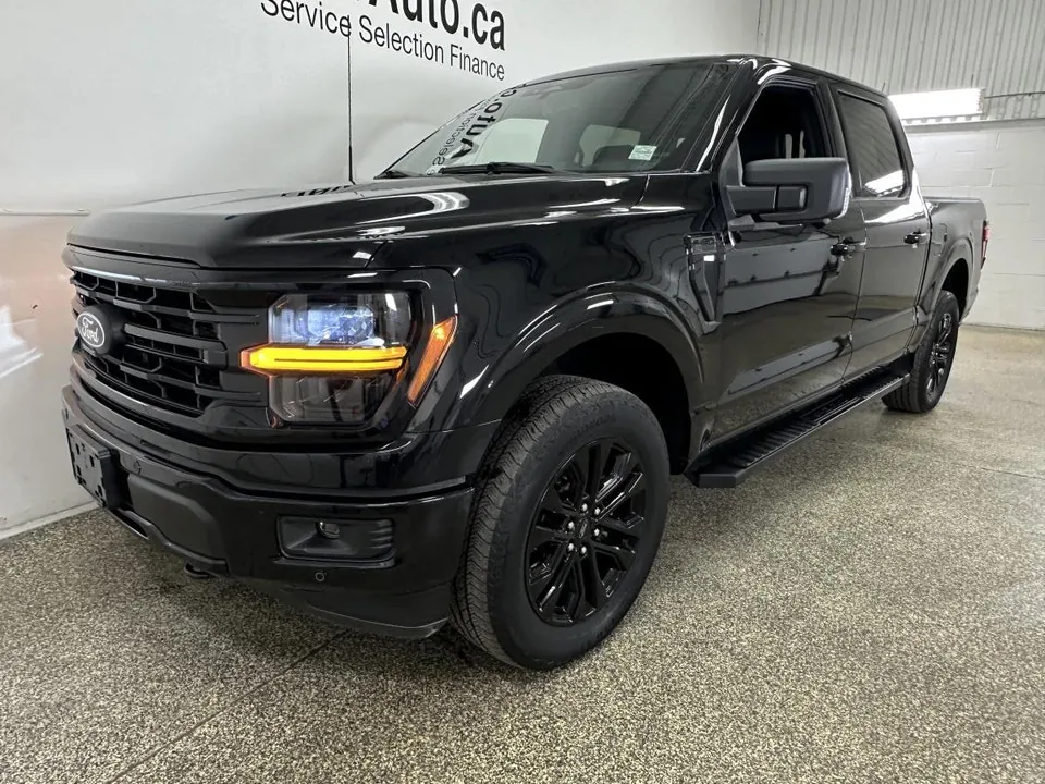 Ford F-150 2024 photo 3