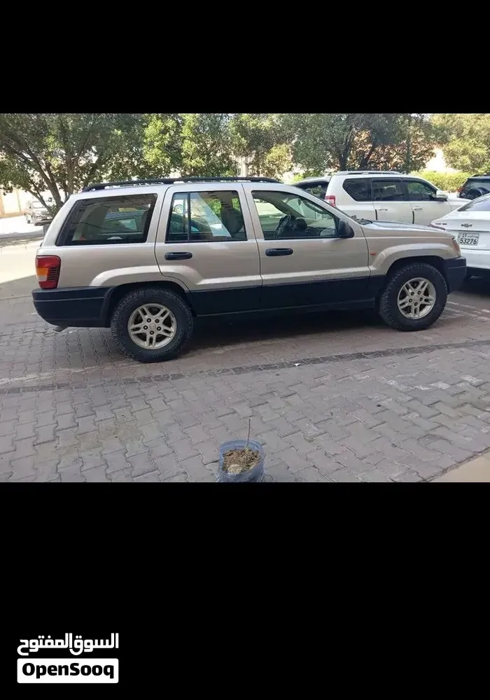 Jeep Grand Cherokee 2004 photo 4