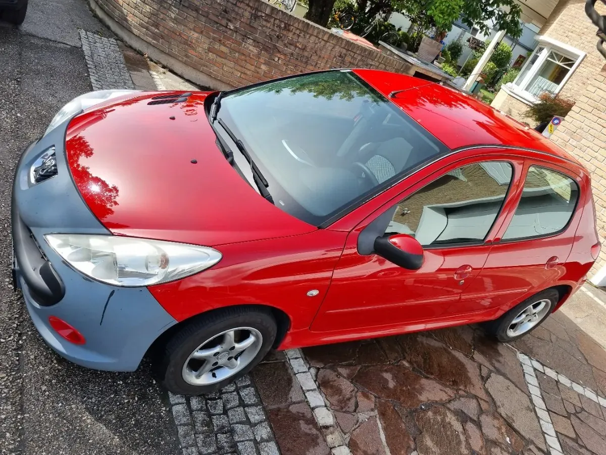 Peugeot 206 2009 photo 3