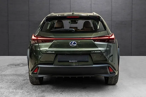 Lexus Ux300E 2021 photo 4