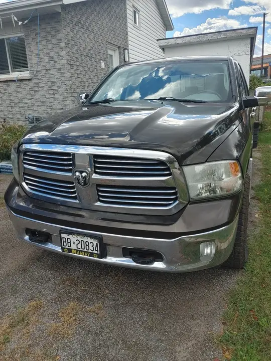 Ram Big Horn