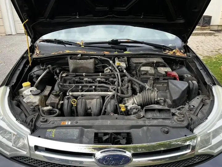 Ford Focus 2009 photo 2