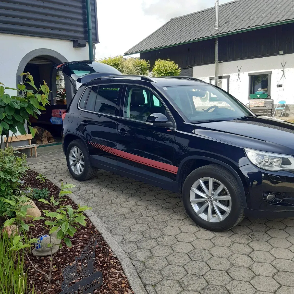 Volkswagen Tiguan 2010 photo 3