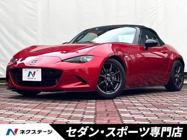Mitsubishi Lourdstar